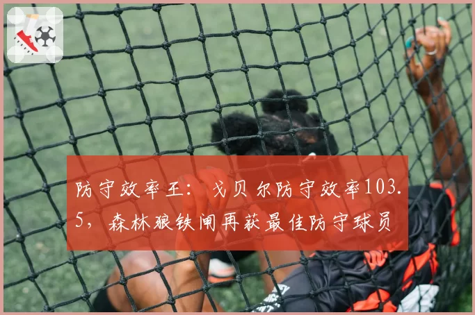 防守效率王：戈贝尔防守效率103.5，森林狼铁闸再获最佳防守球员