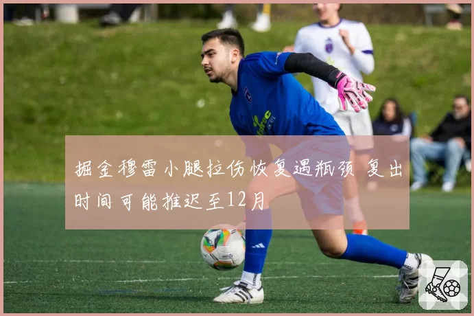 掘金穆雷小腿拉伤恢复遇瓶颈 复出时间可能推迟至12月